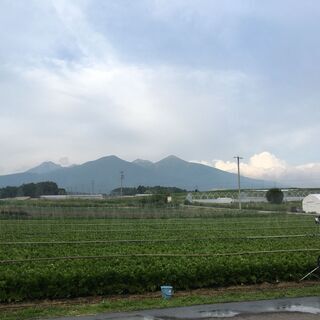 農業スタッフ募集！時給1100円〜
