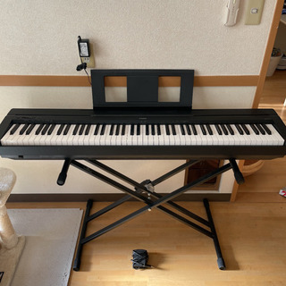 yamaha p45-b