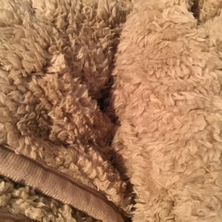 引き渡し決定！新品未使用品　マイクロファイバー肌掛け布団　毛布の画像