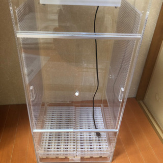 予約済み モモンガ アクリルケージ