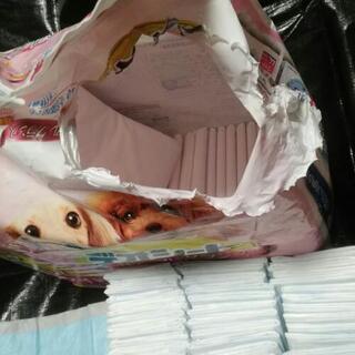 ペットトイレシーツ、ペット用ティッシュの画像