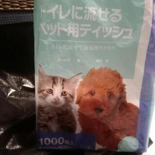 ペットトイレシーツ、ペット用ティッシュの画像