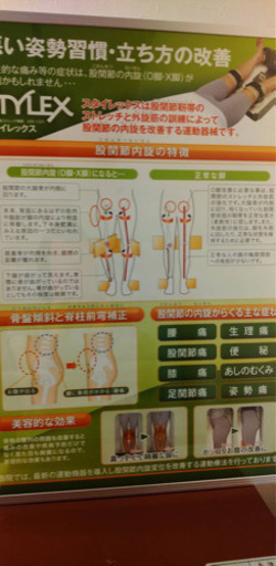 スタイレックス