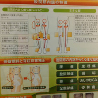 スタイレックスの画像