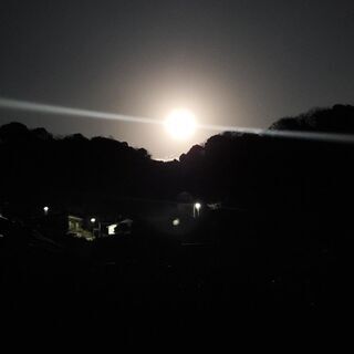 今週土曜日の夜