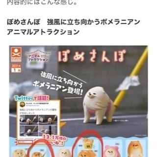 ぽめさんぽ