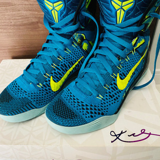 NIKE スニーカー25cm  お値段相談に乗りますの画像