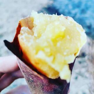 急募。大きな焚き火しながら、焼き芋。