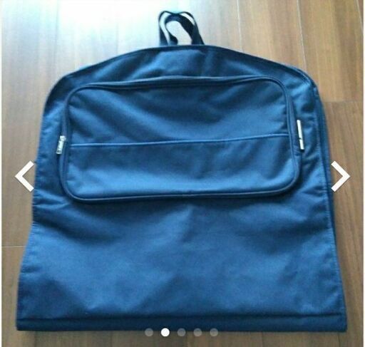 DELSEYガーメントバック