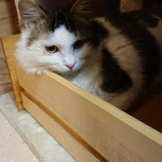 甘えん坊の男の子