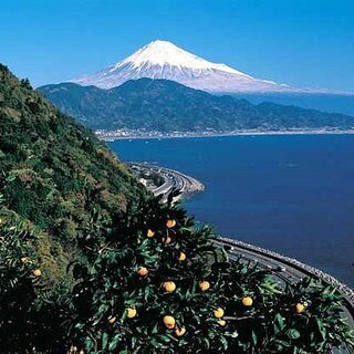 2/7（土）お気軽登山♪　浜石岳 - 静岡市