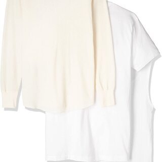[ヘインズ] パックTシャツ誕生70周年記念　3枚セット　サイズMの画像