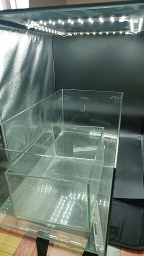 水槽　60㎝と小さい水槽　メダカ