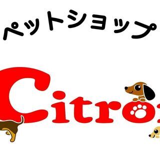 トリマー　募集（アルバイト・パート）　の画像