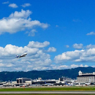 明日！伊丹空港で会える人募集