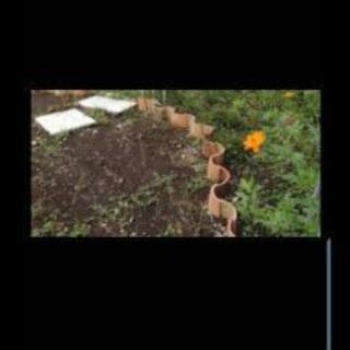 Ｓ瓦、園芸、庭にの画像