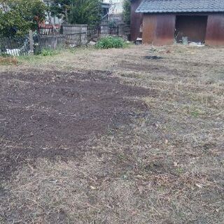 畑を無料でお貸しします。