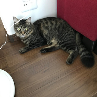 探しています。