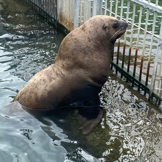 オンライン筋トレ！！！