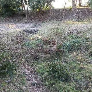 皆さま土地を貸して、自然なキャンプ場を若者、身体が自由が効かない...