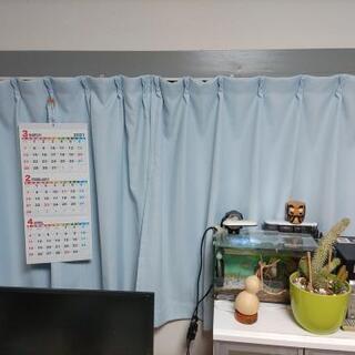 カーテンの画像