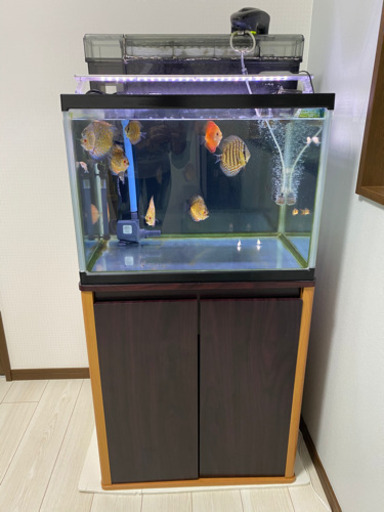 60センチワイド水槽一式