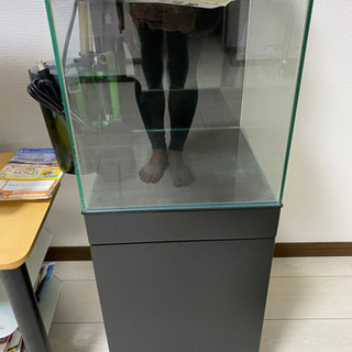 30センチキューブ水槽一式