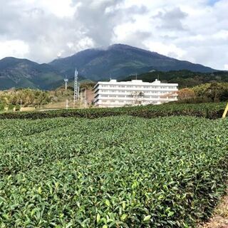 タイムスリップ/オンラインツアー1991年静岡県沼津市へ☆ZARDゆかりの地を中心に過去・現在・未来を巡るオンラインたび☆ - その他