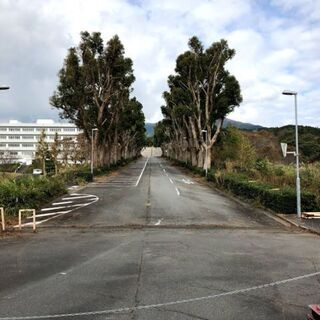 タイムスリップ/オンラインツアー1991年静岡県沼津市へ☆ZARDゆかりの地を中心に過去・現在・未来を巡るオンラインたび☆ − 静岡県