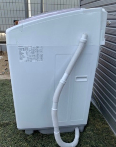 シャープ　8L 洗濯機　