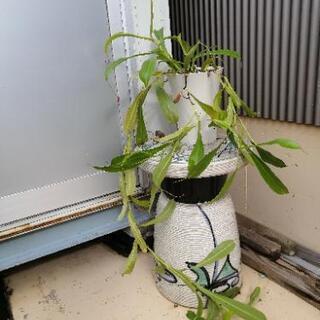 陶器の花台の画像