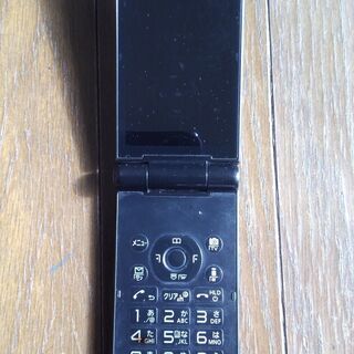 DOCOMO P-01F