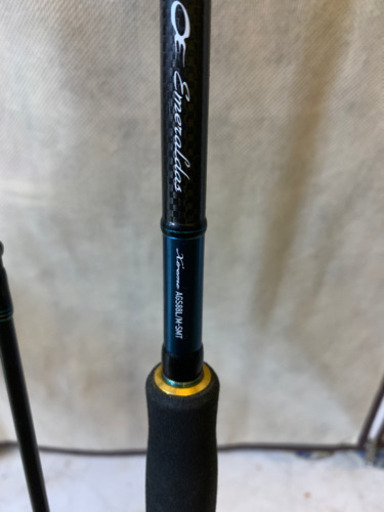 ダイワ エメラルダスEX AGS 88L/M-SMT