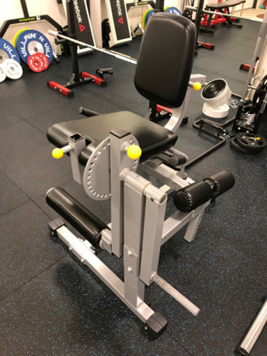 ワイルドフィット　レッグエクステンション&カール