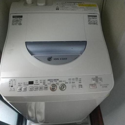 期間限定 洗濯乾燥機