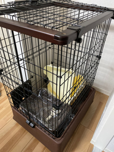 猫ちゃんゲージ♡