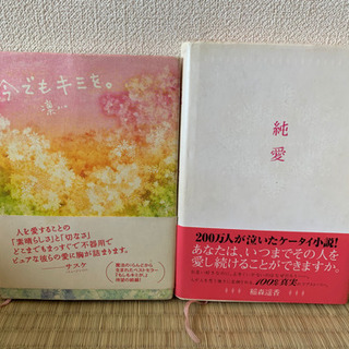 【値下げしました】携帯小説
