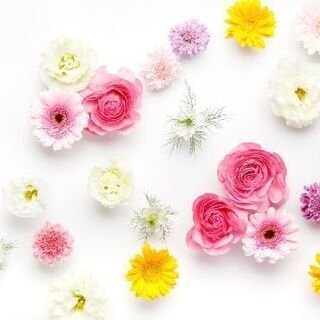 ご存知でしょうか？離婚手続き