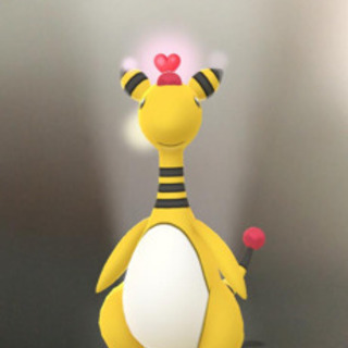 本日のランチ後から六本木ミッドタウンにて