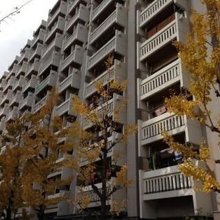 🔴【UR賃貸住宅】【2DK】礼金　更新料　保証人　仲介手数料なし　敷金分割　住之江区粉浜西 - 賃貸（マンション/一戸建て）