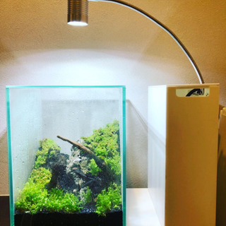 美品 Aqua-U(アクアユー) 小型水槽 専用ヒーター＋レイアウト材（青龍石と流木）　フルセット