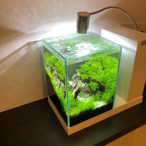 美品 Aqua-U(アクアユー) 小型水槽 専用ヒーター＋レイアウト材（青龍石と流木）　フルセット