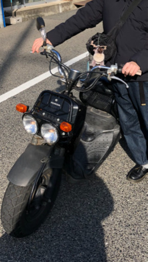 ズーマー　原付　50cc