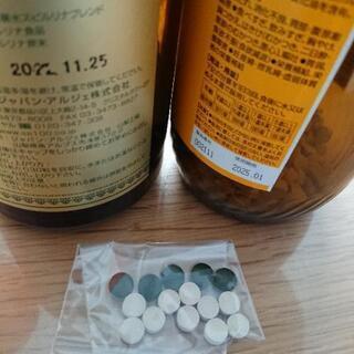 ミジンコ培養セット（数名限定）の画像