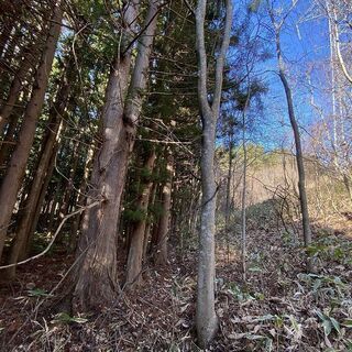 【成約済み】青森県三戸郡新郷村 − 青森県