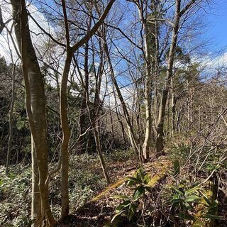 【成約済み】青森県三戸郡新郷村 - 不動産