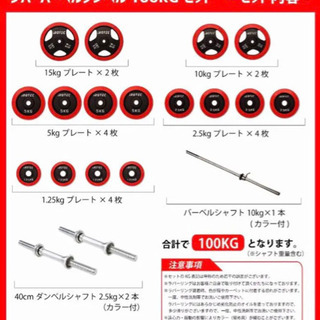 パワーラック455 + バーベル100kgセット　アイロテックの画像