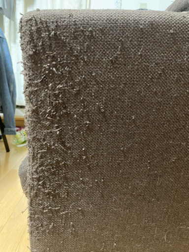 引っ越しの為　早く引き取って頂ける方お願いします。