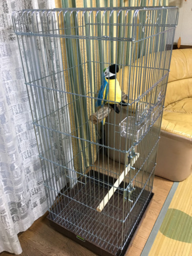 HOEI  915  ハーマー