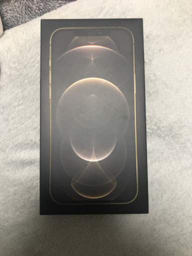 携帯電話/スマホ iPhone Pro MAX 256GB au